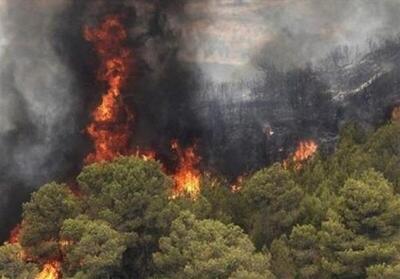آتش رعد و برق به جان جنگل‌های کرمانشاه افتاد