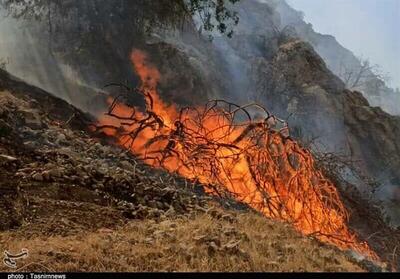  عامل انسانی؛ علت اصلی آتش‌سوزی ‌جنگل‌ها و مراتع