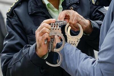 موادفروش حرفه‌ای با ۲۳ کیلوگرم شیشه و تریاک در این شهر دستگیر شد