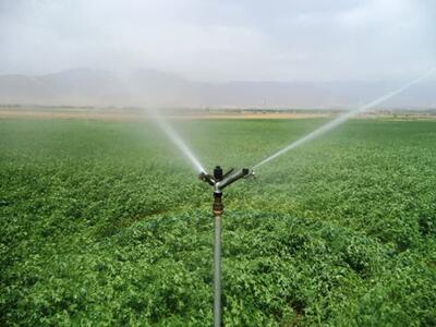 نظارت مستمر بر پروژه‌های جهاد کشاورزی در استان بوشهر انجام می‌شود