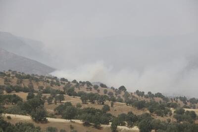 استمرار آتش‌سوزی در اراضی کوهدشت/ احتمال گسترش آتش در سایر مناطق