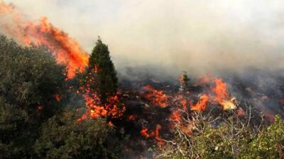 آتش در جنگل‌های ملی کرخه