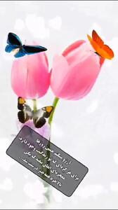  فال ابجد امروز 23 خرداد + فیلم