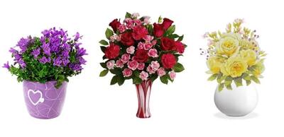 تست شخصیت شناسی |  گلی را در گلدان انتخاب کنید و ببینید چه سورپرایزی در انتظار شماست