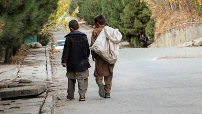 کودکان افغانستان در زیر سلطه طالبان؛ «محروم از آموزش و گرفتار فقر و کار اجباری» /گزارش شفقنا افغانستان | خبرگزاری بین المللی شفقنا