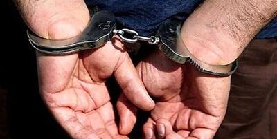 دستگیری یک قاچاقچی با ۷۰ کیلوگرم مواد مخدر در تهران