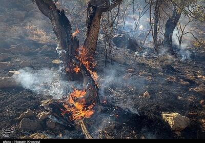 مهار آتش‌سوزی در اراضی کوهدشت - تسنیم
