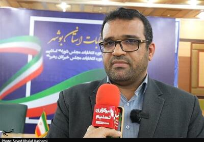 تشکیل 27 هیئت اجرایی انتخابات در بوشهر + فیلم - تسنیم