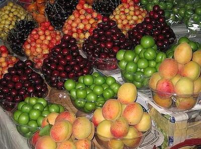 مانور میوه‌های ایرانی در بازار قطر