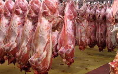 رشد ۳۳۸ درصدی قیمت گوشت در دولت سیزدهم!