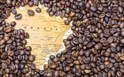 بزرگترین تولید کننده قهوه جهان و نکات جالبی که باید بدانید - خبرنامه