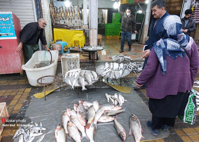 قیمت انواع ماهی ۲۴ خرداد ۱۴۰۳