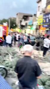 ببینید /  سقوط درخت بر روی چند ماشین در تهرانپارس