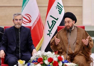 هم‌افزایی ایران و عراق به نفع جهان اسلام و کشورهای منطقه است - تسنیم