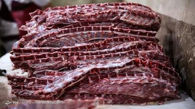 صادرات گوشت بسته بندی از نیمه دوم سال آغاز می‌شود