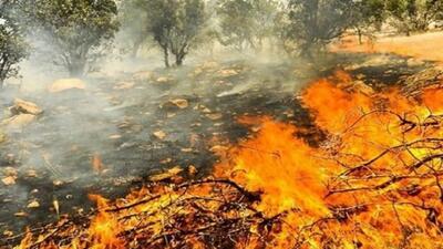 آتش‌سوزی منطقه تنگ تاپو دهلران مهار شد