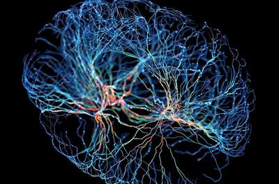 کشف بزرگ پژوهشگران درباره درمان آلزایمر/پیش‌بینی مغز از آینده