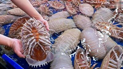 غذای خیابانی در کره؛ پخت غذا با خرخاکی دریایی غول پیکر (فیلم)