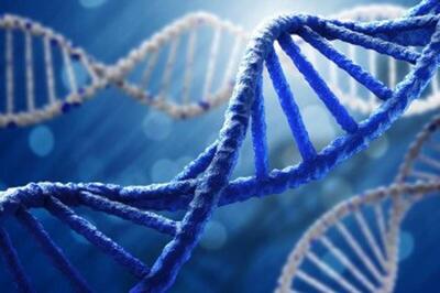 واکنش پزشکی قانونی به چرایی تاخیر در اعلام آزمایشات  DNA