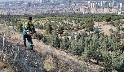 علف‌تراشی بوستان‌های شمال‌غرب تهران با هدف پیشگیری از آتش‌سوزی