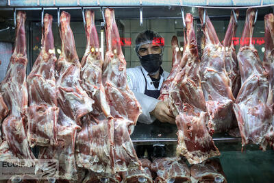 سود بازرگانی واردات انواع گوشت صفر شد