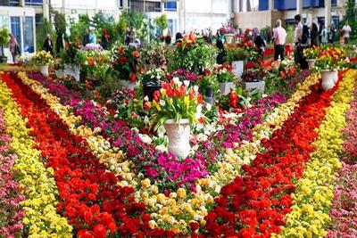 رنگ باختن شادی در میان ایرانیان/ کاهش ۷۰درصدی تقاضا در بازار گل