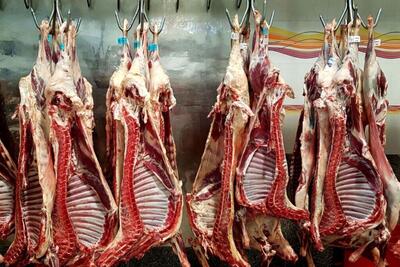 قیمت گوشت قرمز درآستانه عید قربان | گوسفند زنده و نیم شقه کیلویی چند؟