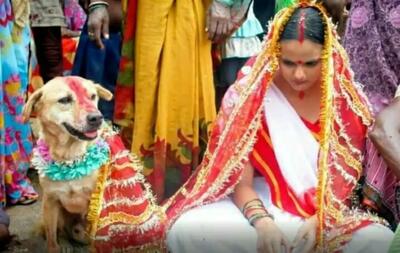 ازدواج اجباری دختر هندی با سگ ولگرد برای فرار از بدشانسی!