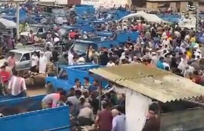فیلم/ حال‌وهوای بازار دام گنبدکاووس در آستانه عید قربان