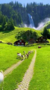 از زیبایی های کشور سوئیس