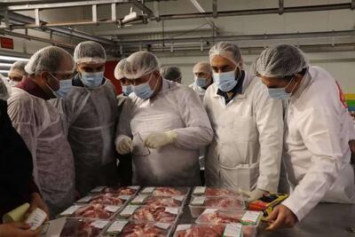 حمایت سازمان دامپزشکی از باراندازهای گوشت استاندارد