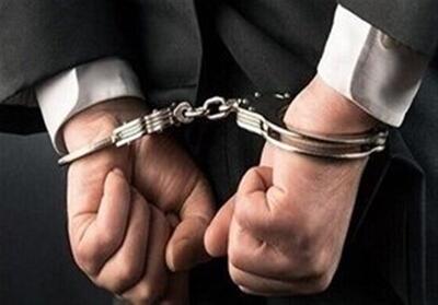 بازداشت شیاد سایبری با 520 فقره کلاهبرداری در خوزستان - تسنیم