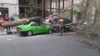 طوفان در تهران حادثه آفرید