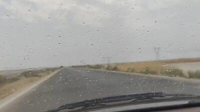 تابستان و بارش ناگهانی باران + فیلم
