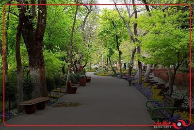 دعوت زاکانی از حسین انتظامی، منتقد میزگرد صداوسیما برای بازدید از پارک قیطریه