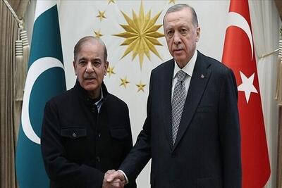 رایزنی رئیس‌جمهور ترکیه با نخست‌وزیر پاکستان با محوریت غزه