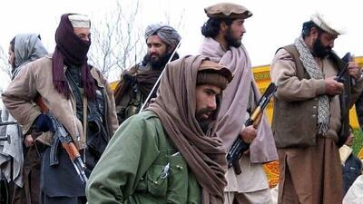 طالبان پاکستانی به مناسبت عید قربان ۳ روز آتش بس داد