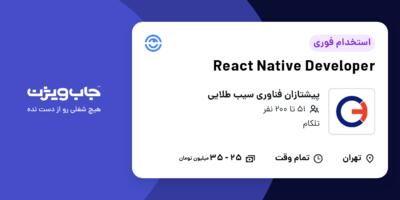 استخدام React Native Developer در پیشتازان فناوری سیب طلایی