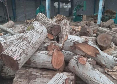 ۲تن چوب غیرمجاز جنگلی در شهرستان رودان کشف شد