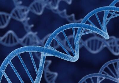 واکنش پزشکی قانونی به چرایی تاخیر در اعلام آزمایشات  DNA