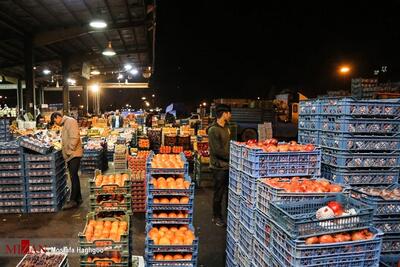 سبزیجات ۳۰ درصد ارزانتر از سطح شهر در میادین و بازار‌های میوه و تره‌بار به فروش می‌رسد