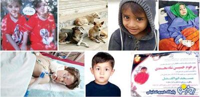 مرگ فاجعه‌بار ۷ کودک براثر سگ‌گزیدگی در یک ماه اخیر | روزنو