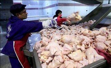 سقوط قیمت مرغ در بازار ۲۷ خرداد ۱۴۰۳