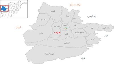 دستگیری ۸ عضو طالبان در هرات
