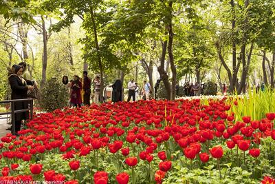 بازدید از باغ گل ایرانی در تابستان | همنشینی گل ها و کاشی های فیروزه ای در باغ گل ایرانی