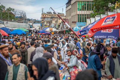 عکس/ خرید عید قربان در کابل