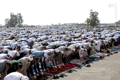 عکس/ اقامه نماز عید قربان در بندر ترکمن