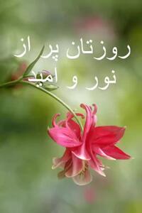 فال و طالع بینی امروز 28 خرداد + فیلم