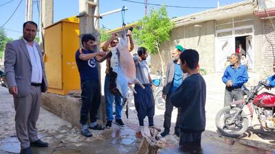 آداب و رسوم اهالی روستای توآباد در عید سعید قربان + فیلم و تصاویر