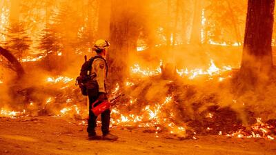 آتش‌سوزی گسترده در کالیفرنیا + فیلم